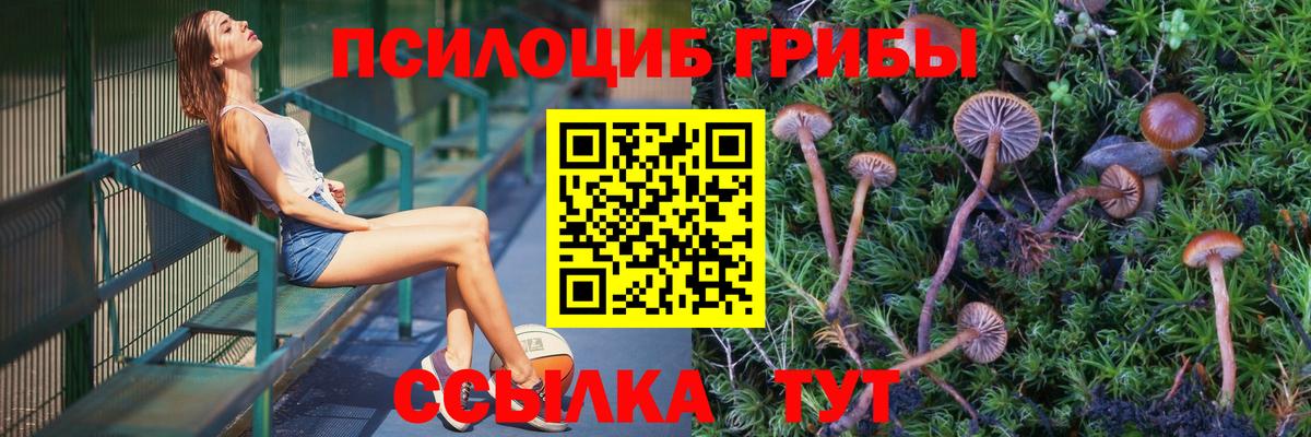 Галлюциногенные грибы Cubensis Щёкино